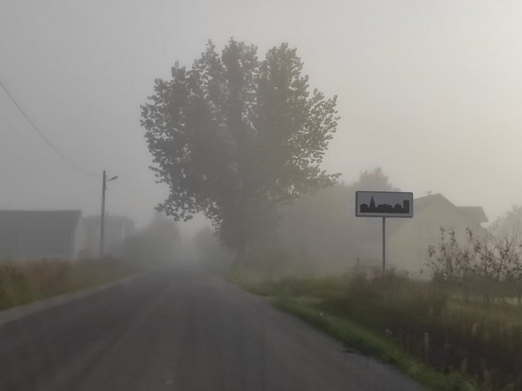Uwaga kierowcy! Gęste mgły na drogach powiatu sandomierskiego [zdjęcia]