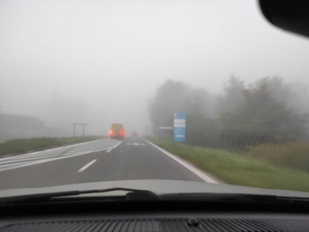 Uwaga kierowcy! Gęste mgły na drogach powiatu sandomierskiego [zdjęcia]