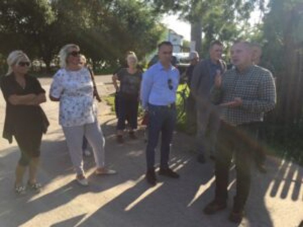 Sandomierz. Dzików coraz więcej. Mieszkańcy boją się o swoje bezpieczeństwo
