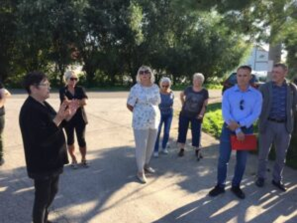 Sandomierz. Dzików coraz więcej. Mieszkańcy boją się o swoje bezpieczeństwo