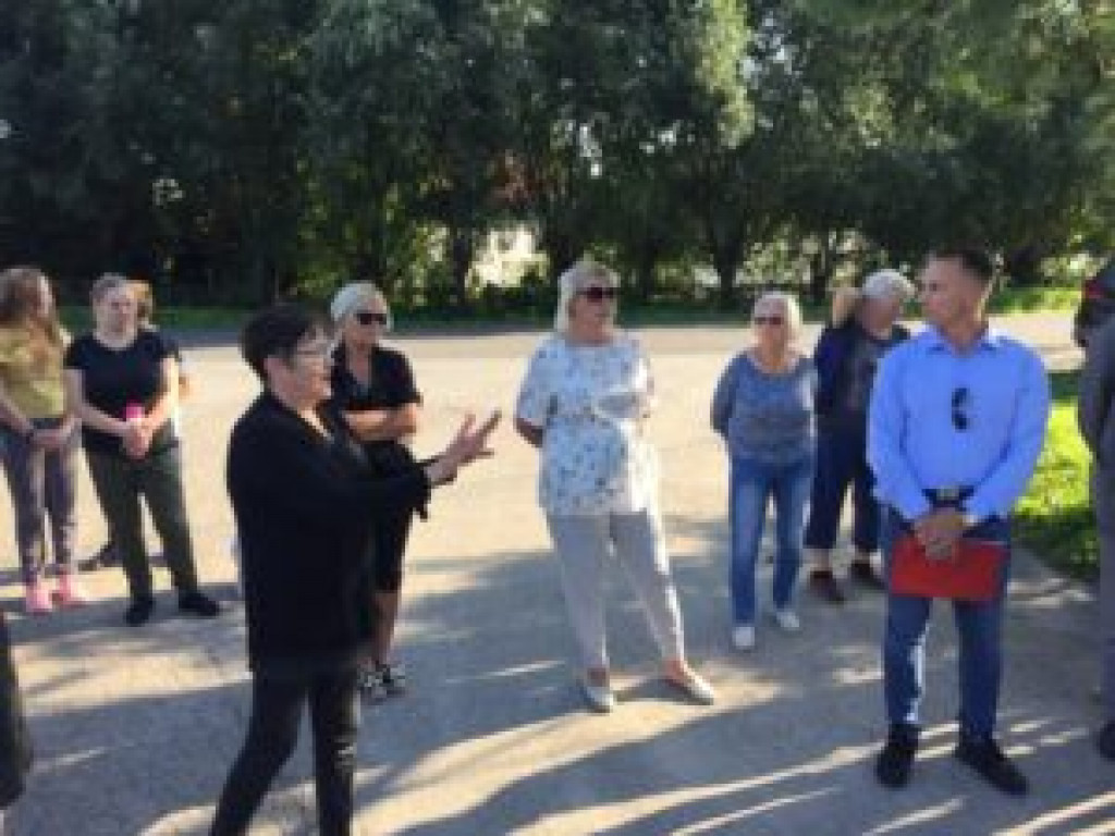 Sandomierz. Dzików coraz więcej. Mieszkańcy boją się o swoje bezpieczeństwo