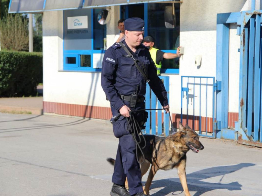 Wielkie ćwiczenia w elektrowni. Wojsko, straż i policja w akcji [zdjęcia]