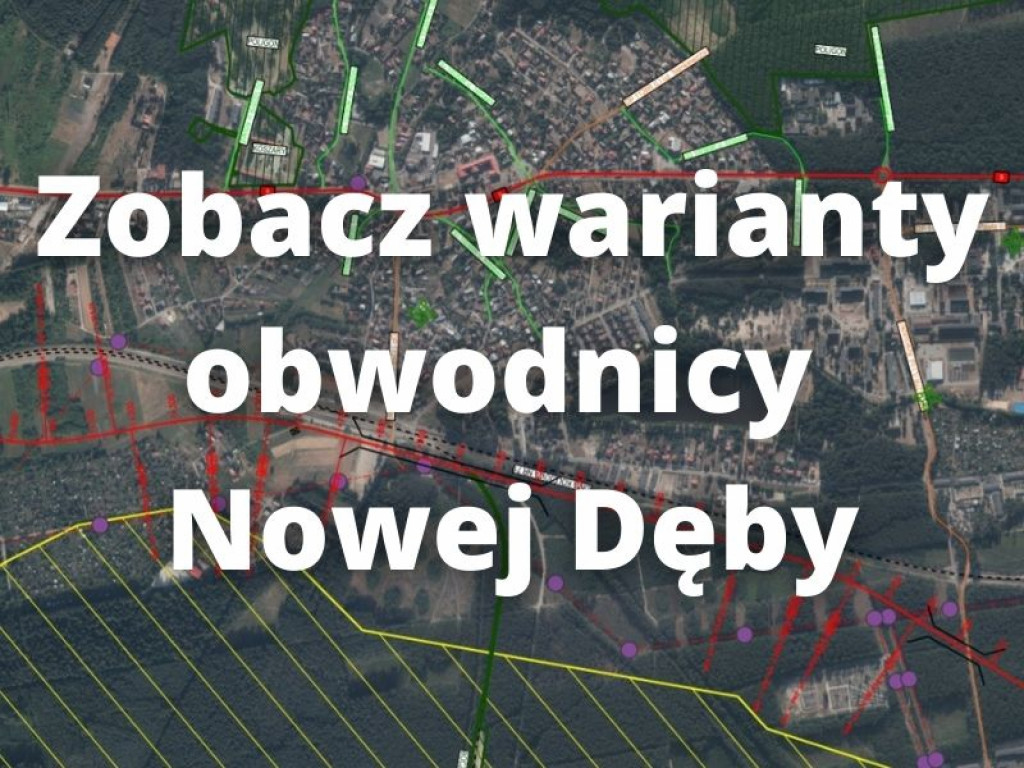 Obwodnica Nowej Dęby. Zobacz przygotowane warianty [MAPY]