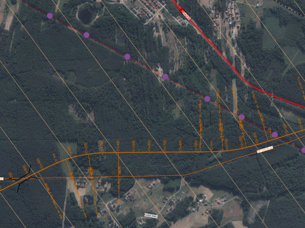 Obwodnica Nowej Dęby. Zobacz przygotowane warianty [MAPY]