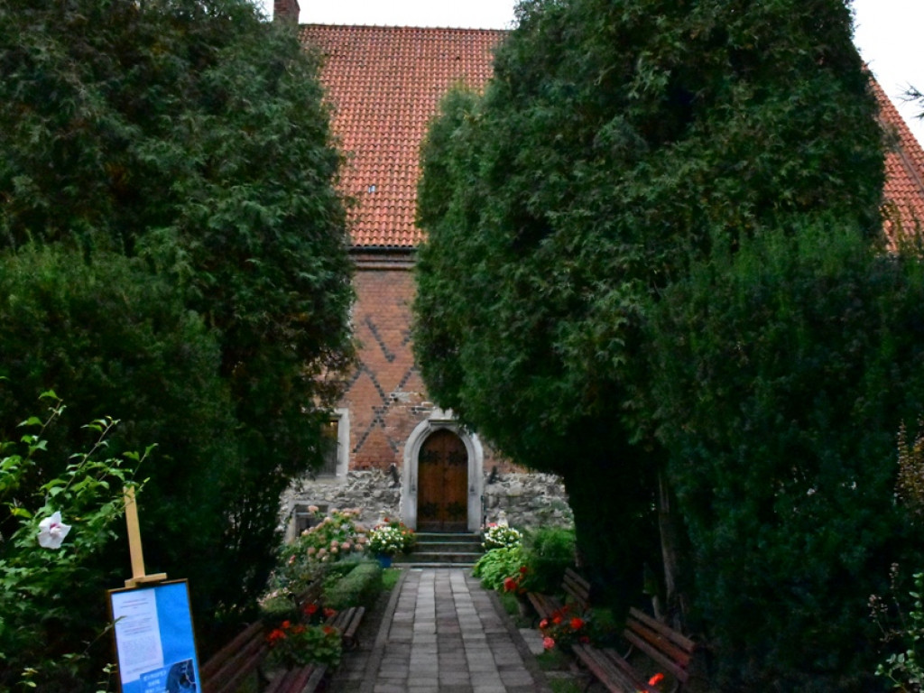 Sandomierz. O lukrecji 