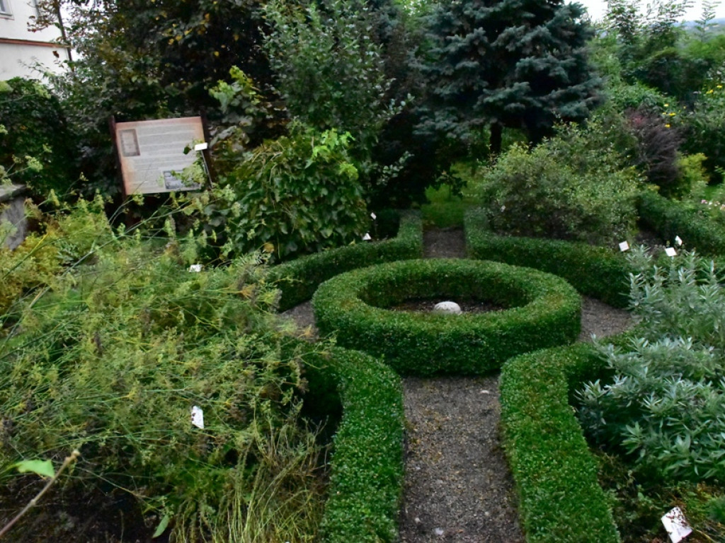 Sandomierz. O lukrecji 