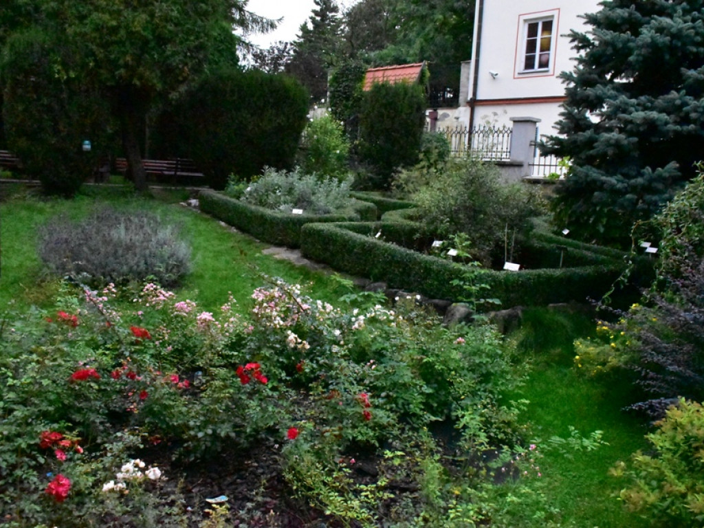 Sandomierz. O lukrecji 