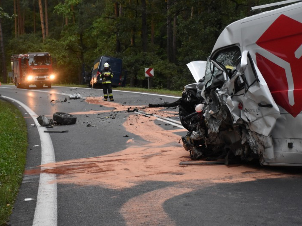 Znów drogowy dramat na trasie Tarnobrzeg- Stalowa Wola! [zdjęcia]