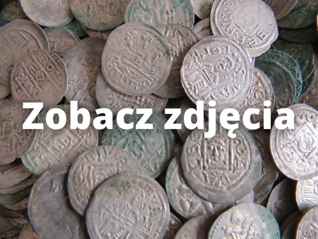 Zawichost. Znaleźli skarb - ponad 1800 monet z XII wieku!