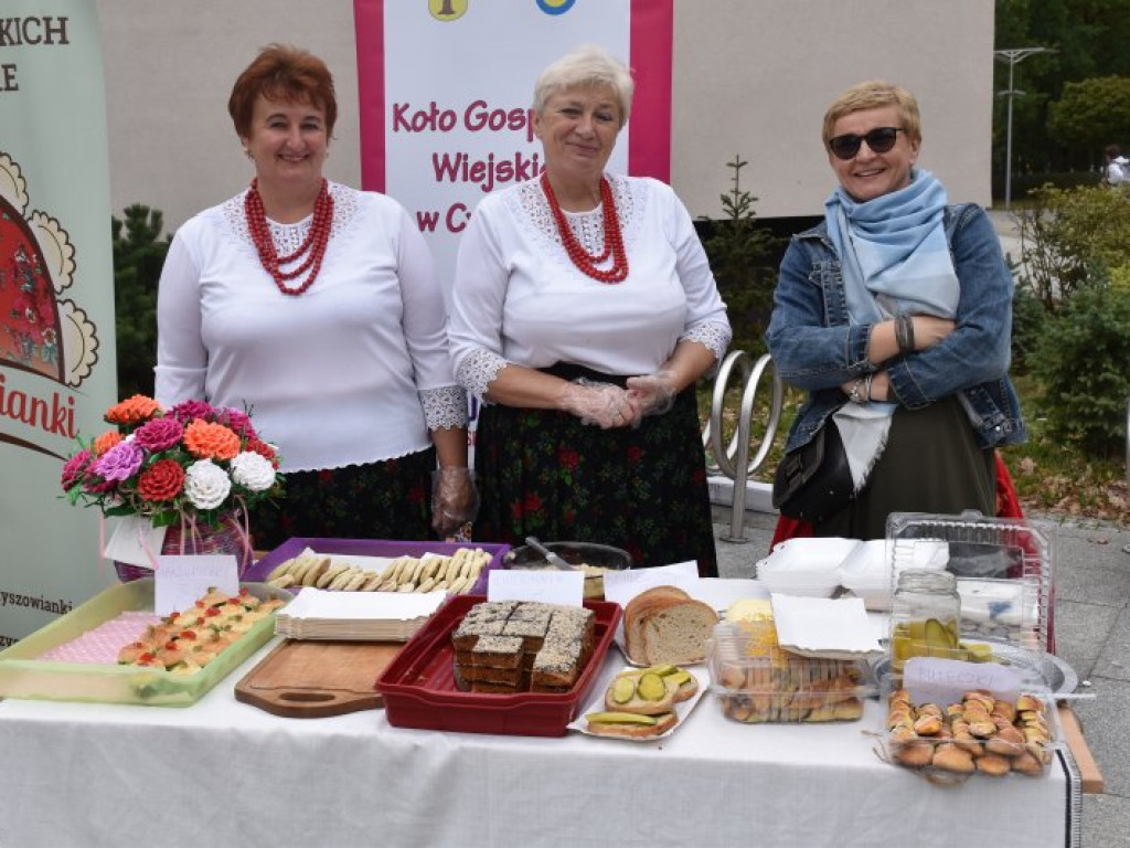60-lecie praw miejskich w Nowej Dębie [zdjęcia]