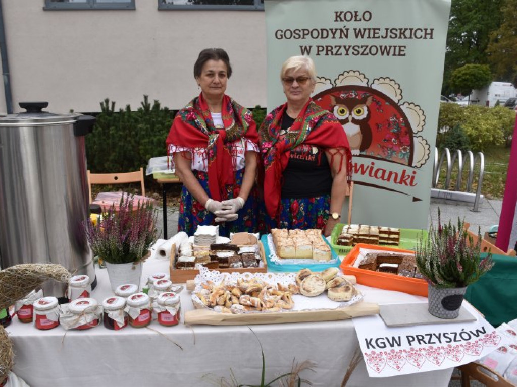 60-lecie praw miejskich w Nowej Dębie [zdjęcia]