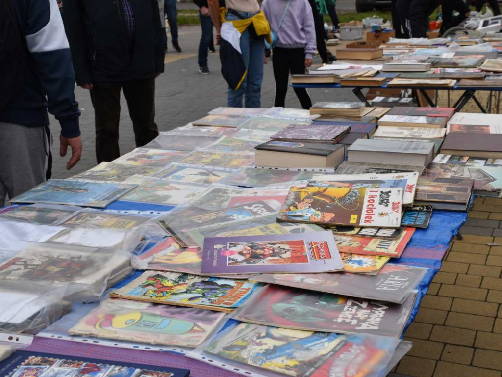 I edycja Pchlego Targu w Tarnobrzegu. To był raj dla kolekcjonerów i łowców okazji!  [zdjęcia]