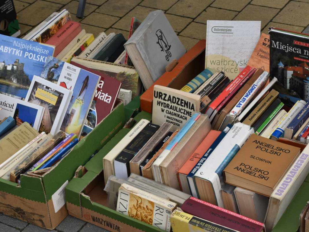 I edycja Pchlego Targu w Tarnobrzegu. To był raj dla kolekcjonerów i łowców okazji!  [zdjęcia]