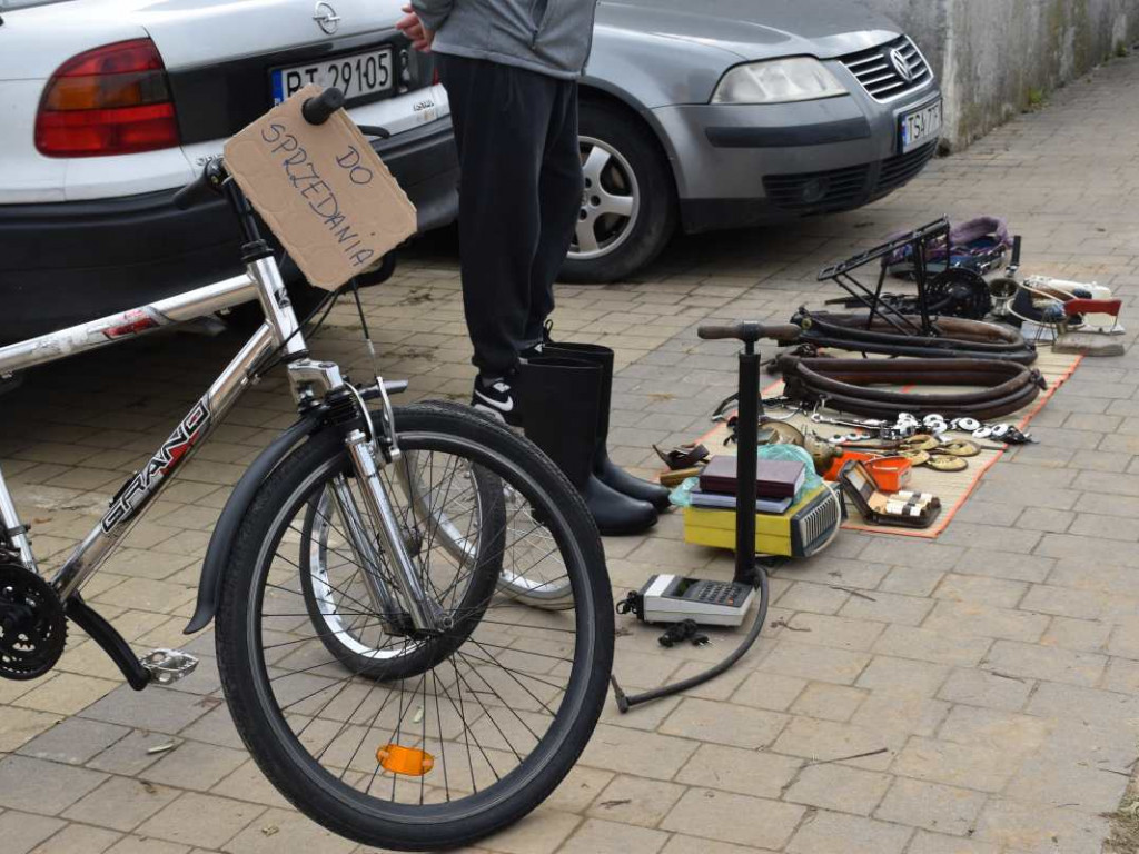 I edycja Pchlego Targu w Tarnobrzegu. To był raj dla kolekcjonerów i łowców okazji!  [zdjęcia]