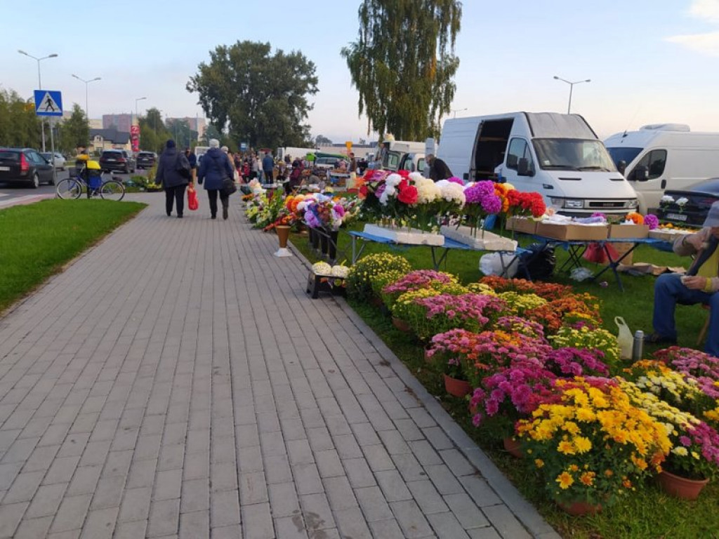 Na targu w Tarnobrzegu można już kupić znicze, chryzantemy i wiązanki. Miesiąc przed Świętem Zmarłych! [zdjęcia]