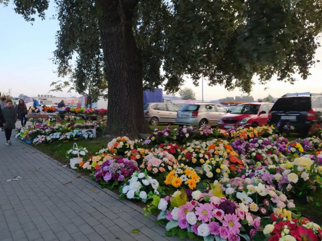 Na targu w Tarnobrzegu można już kupić znicze, chryzantemy i wiązanki. Miesiąc przed Świętem Zmarłych! [zdjęcia]