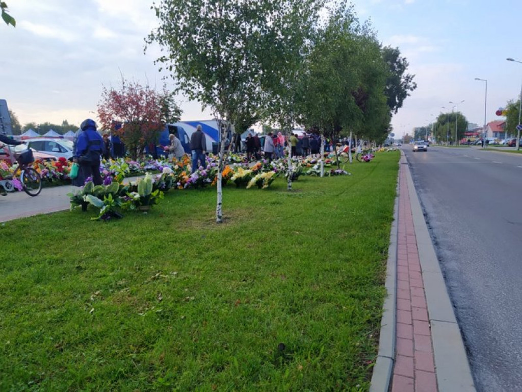 Na targu w Tarnobrzegu można już kupić znicze, chryzantemy i wiązanki. Miesiąc przed Świętem Zmarłych! [zdjęcia]
