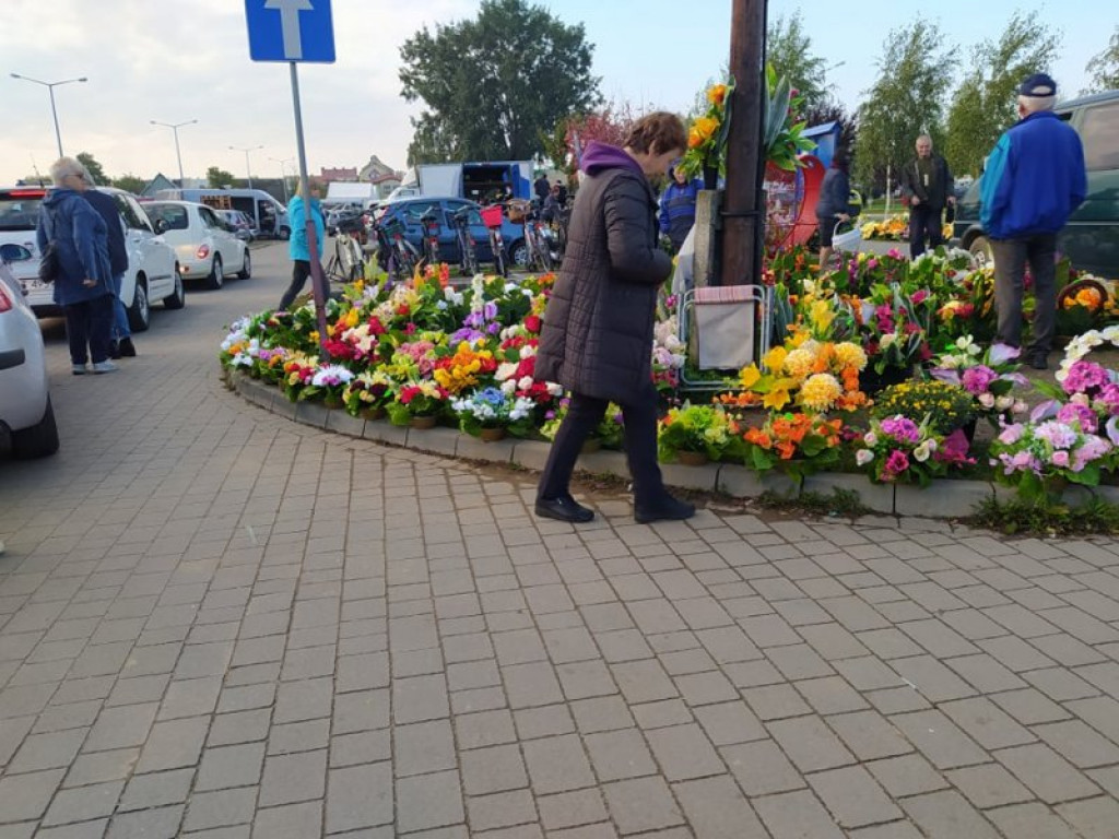 Na targu w Tarnobrzegu można już kupić znicze, chryzantemy i wiązanki. Miesiąc przed Świętem Zmarłych! [zdjęcia]