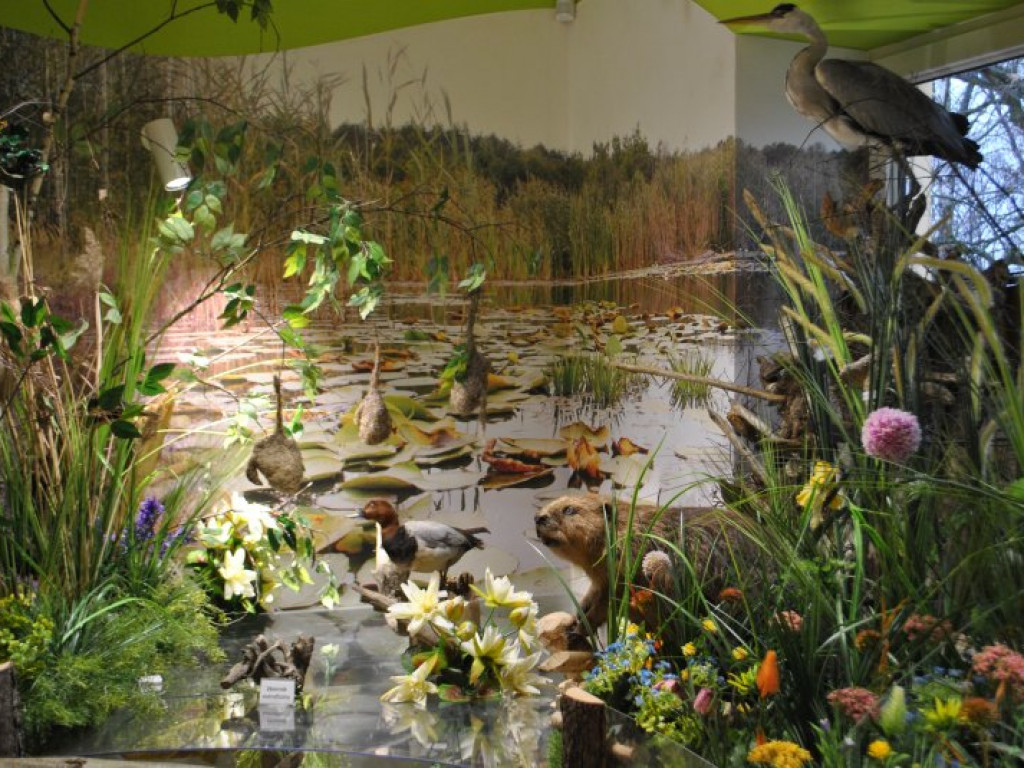 Tarnobrzeg i tarnobrzeskie Centrum Natura 2000 z mistrzowskim tytułem! [zdjęcia]