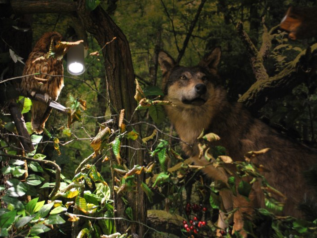 Tarnobrzeg i tarnobrzeskie Centrum Natura 2000 z mistrzowskim tytułem! [zdjęcia]