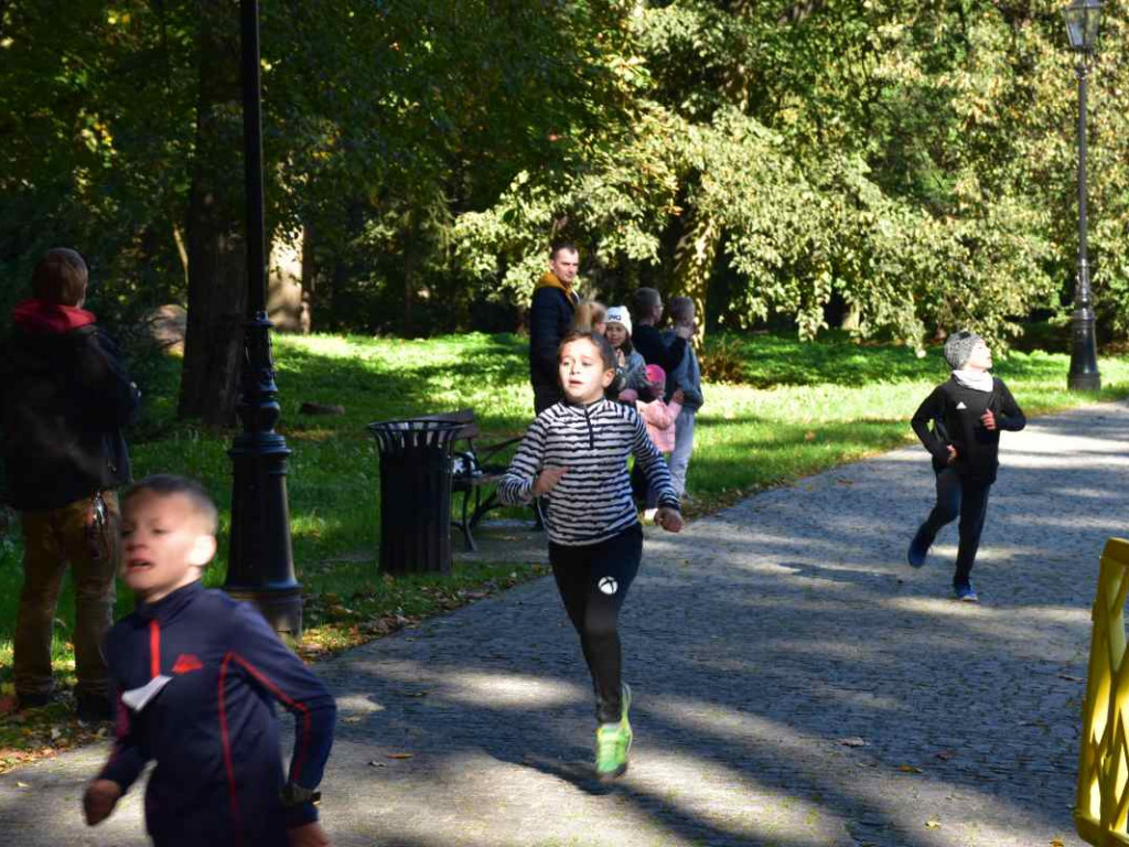 43. Bieg Nadwiślański im. Alfreda Freyera w Tarnobrzegu - kategoria młodzieżowa i open [zdjęcia]