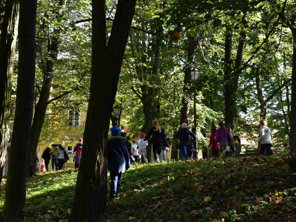 43. Bieg Nadwiślański im. Alfreda Freyera w Tarnobrzegu - kategoria młodzieżowa i open [zdjęcia]