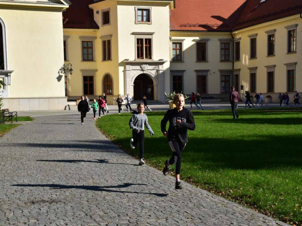 43. Bieg Nadwiślański im. Alfreda Freyera w Tarnobrzegu - kategoria młodzieżowa i open [zdjęcia]
