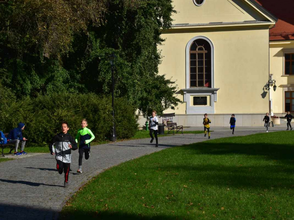 43. Bieg Nadwiślański im. Alfreda Freyera w Tarnobrzegu - kategoria młodzieżowa i open [zdjęcia]