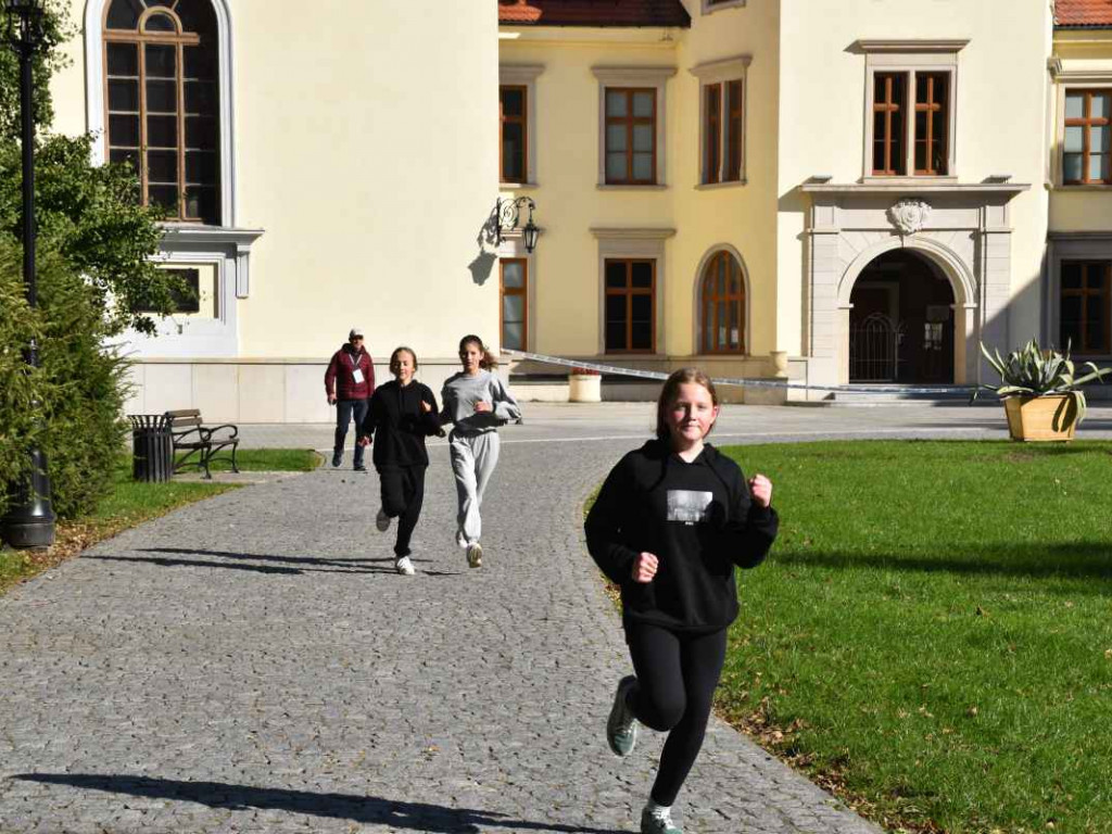 43. Bieg Nadwiślański im. Alfreda Freyera w Tarnobrzegu - kategoria młodzieżowa i open [zdjęcia]