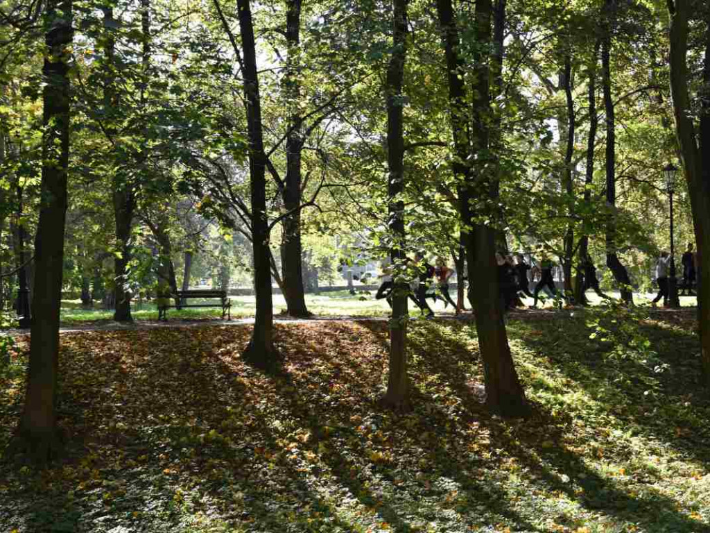 43. Bieg Nadwiślański im. Alfreda Freyera w Tarnobrzegu - kategoria młodzieżowa i open [zdjęcia]