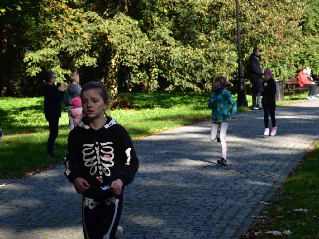 43. Bieg Nadwiślański im. Alfreda Freyera w Tarnobrzegu - kategoria młodzieżowa i open [zdjęcia]