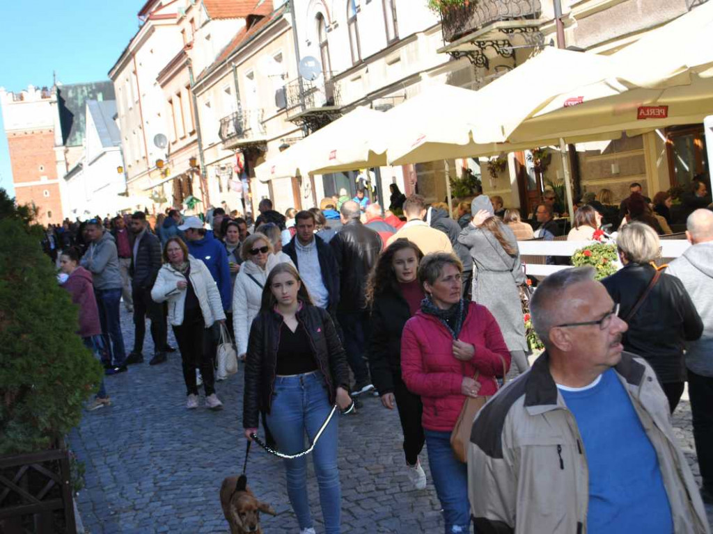 Gigantyczne tłumy na odpuście bł. Wincentego Kadłubka w Sandomierzu [zdjęcia]