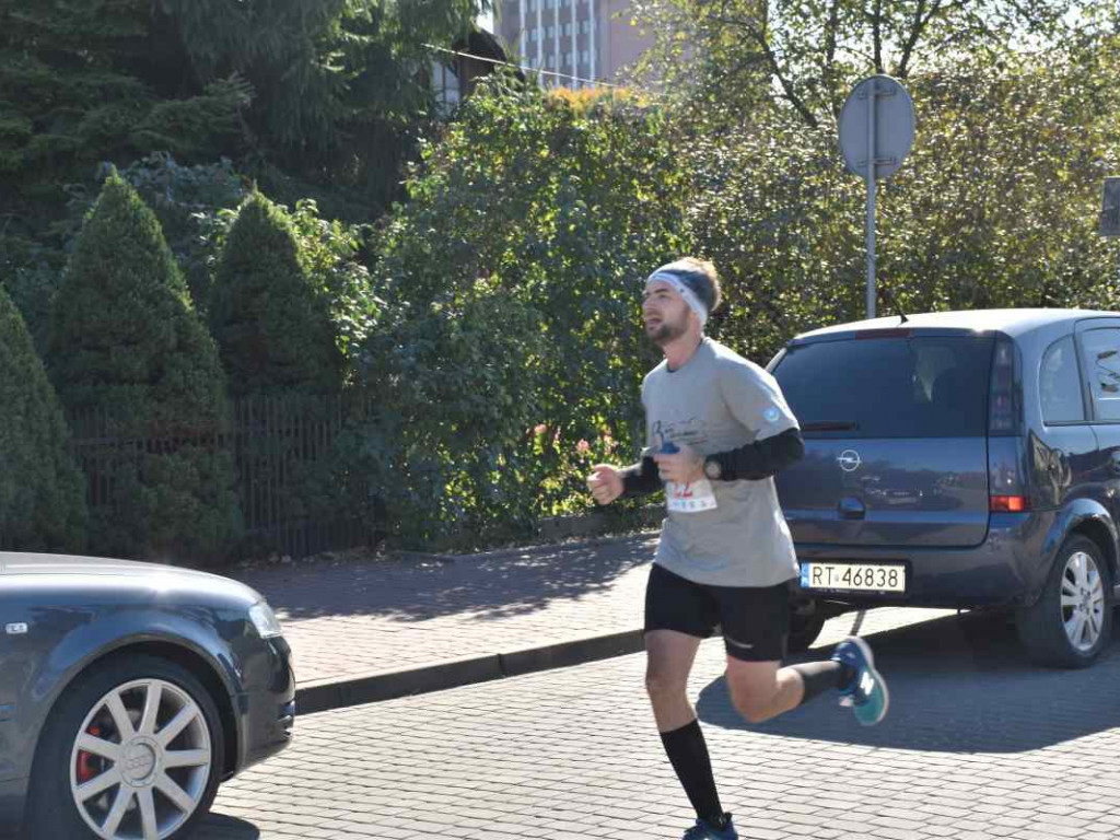 43. Bieg Nadwiślański w Tarnobrzegu - Pokonali 15 km z Baranowa Sandomierskiego do Tarnobrzega [zdjęcia]