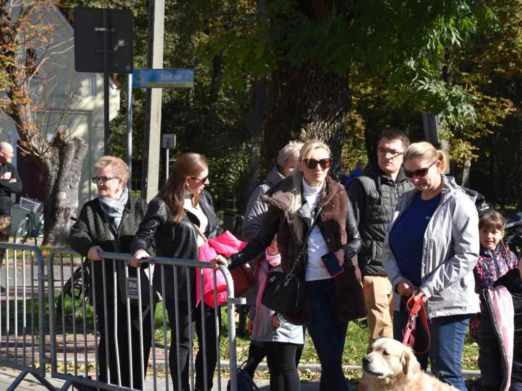 43. Bieg Nadwiślański w Tarnobrzegu - Pokonali 15 km z Baranowa Sandomierskiego do Tarnobrzega [zdjęcia]