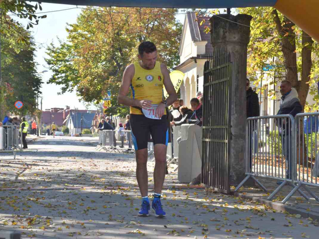 43. Bieg Nadwiślański w Tarnobrzegu - Pokonali 15 km z Baranowa Sandomierskiego do Tarnobrzega [zdjęcia]