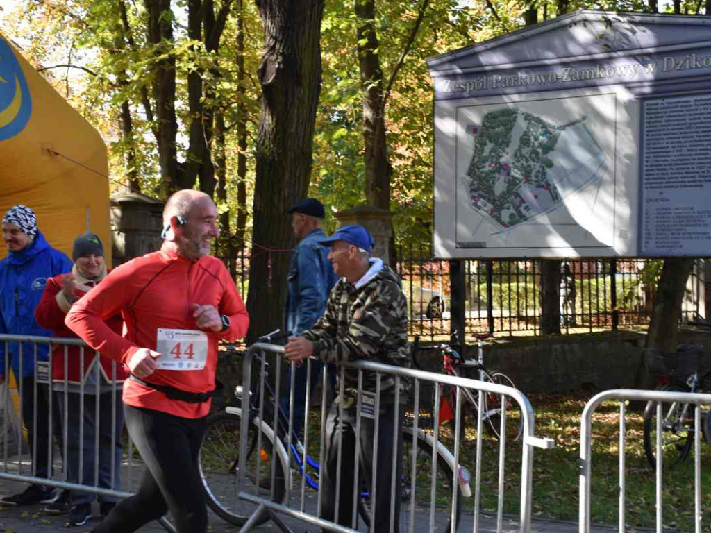 43. Bieg Nadwiślański w Tarnobrzegu - Pokonali 15 km z Baranowa Sandomierskiego do Tarnobrzega [zdjęcia]