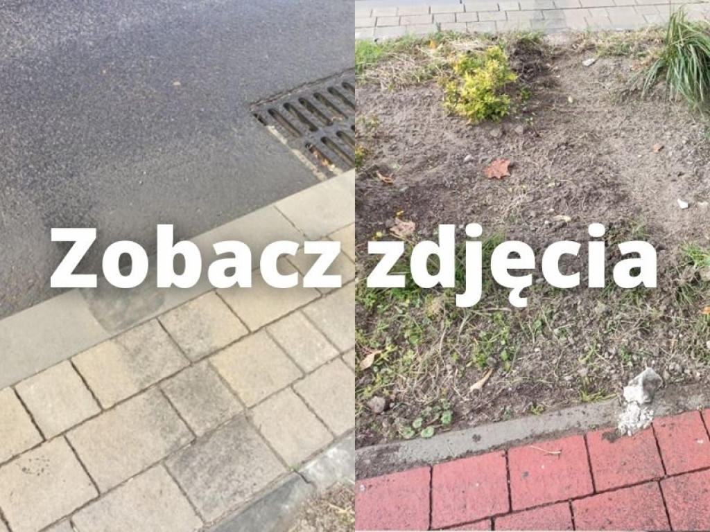 Piratka drogowa na ulicach Tarnobrzega. Bączki, obite auto, uszkodzone nasadzenia i krawężniki [zdjęcia]