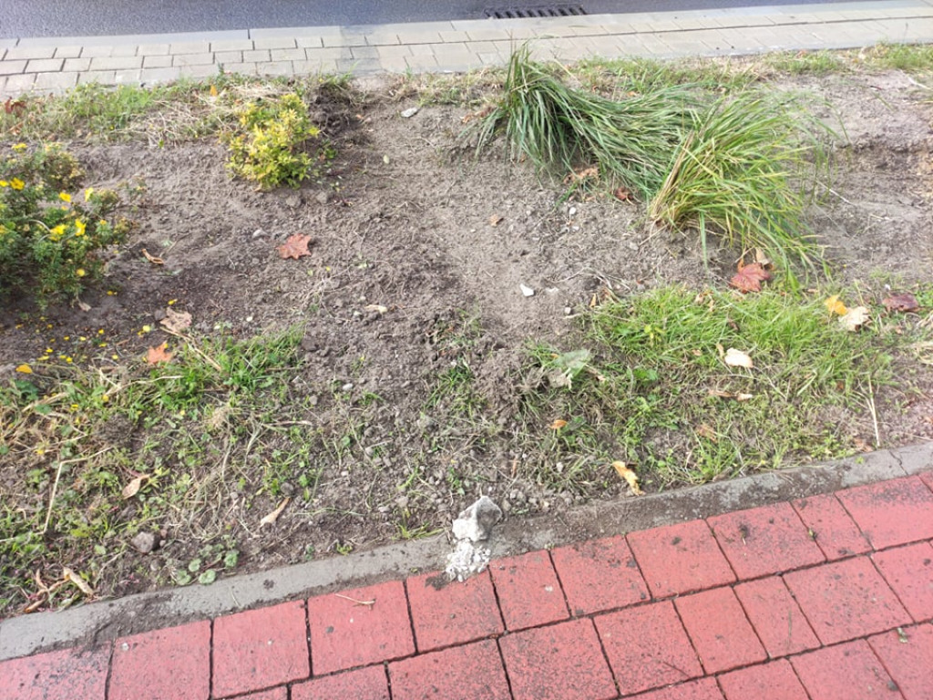 Piratka drogowa na ulicach Tarnobrzega. Bączki, obite auto, uszkodzone nasadzenia i krawężniki [zdjęcia]