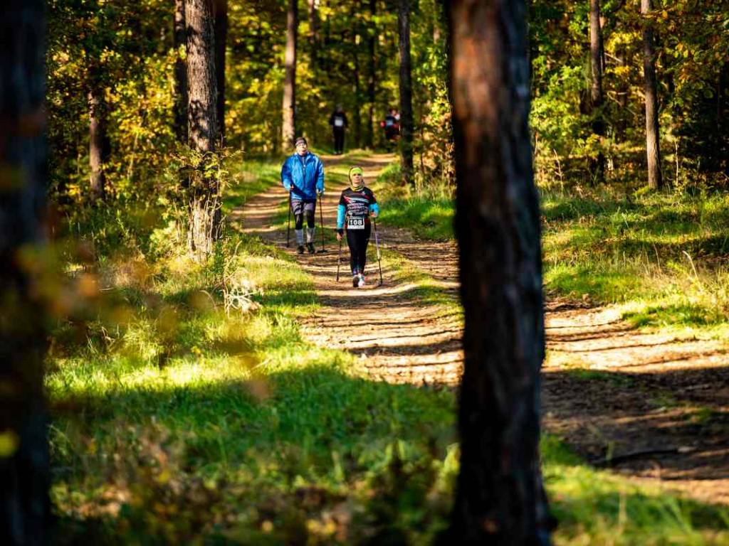 Biegli leśnymi ścieżkami Zamczyska Turskiego [zdjęcia]