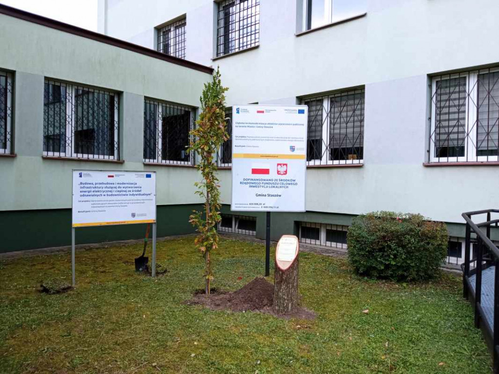 Podniosła uroczystość w Staszowie. Jan Paweł II został patronem miasta [zdjęcia]