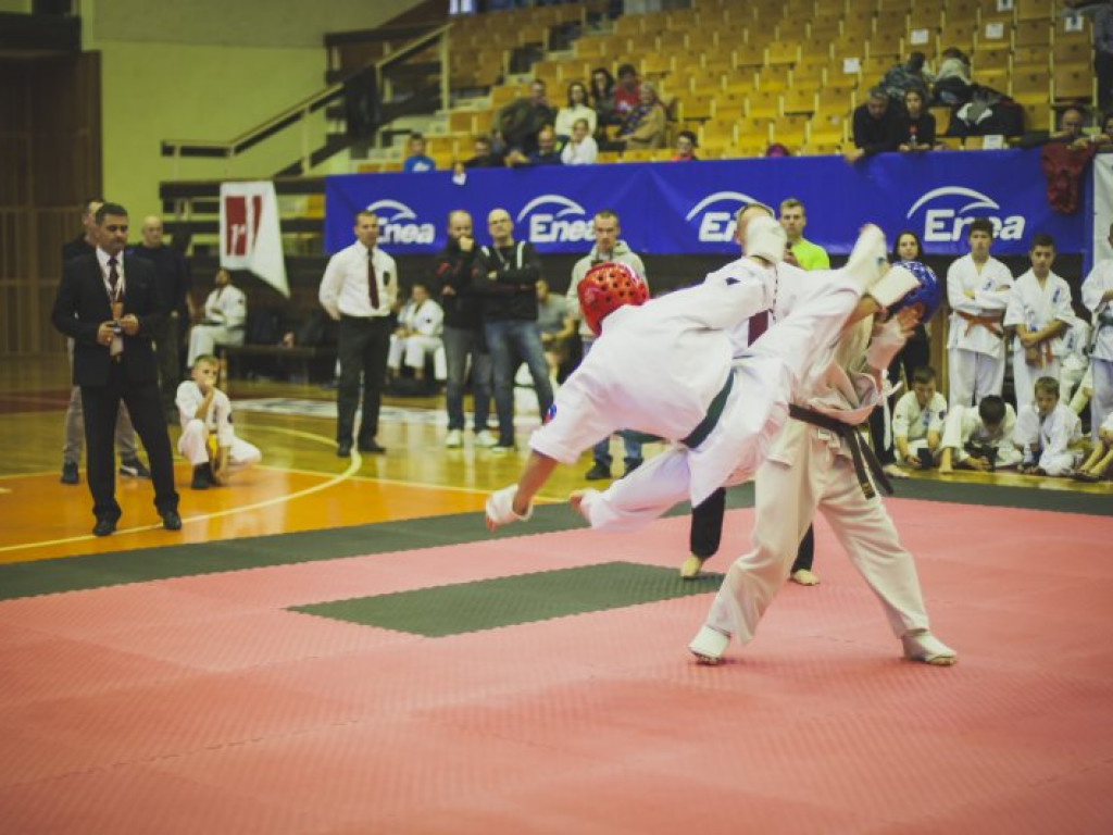 140 zawodników karate walczyło w Tarnobrzegu