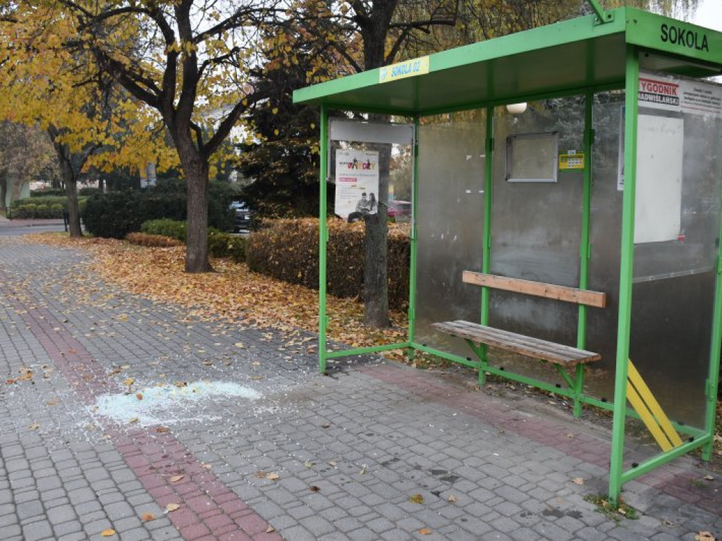 Tarnobrzeg. Wandal zniszczył wiatę przystankową [zdjęcia]