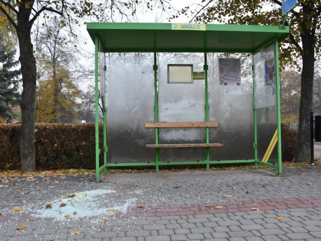 Tarnobrzeg. Wandal zniszczył wiatę przystankową [zdjęcia]