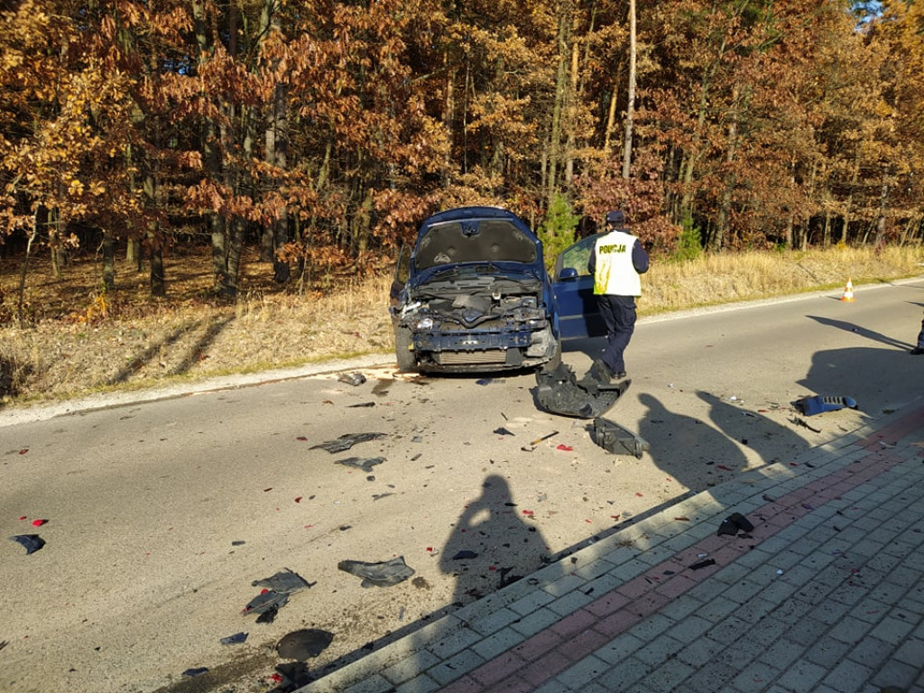 Wypadek w Nowej Dębie, droga zablokowana [zdjęcia]