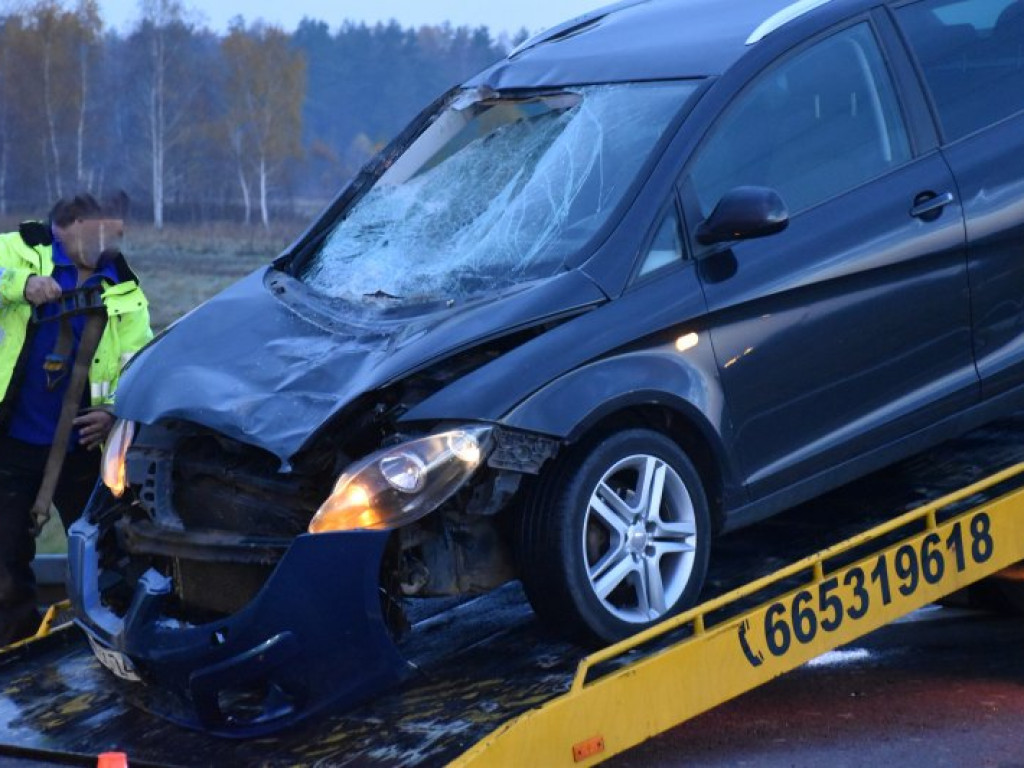Zderzenie auta z sarną na krajowej 
