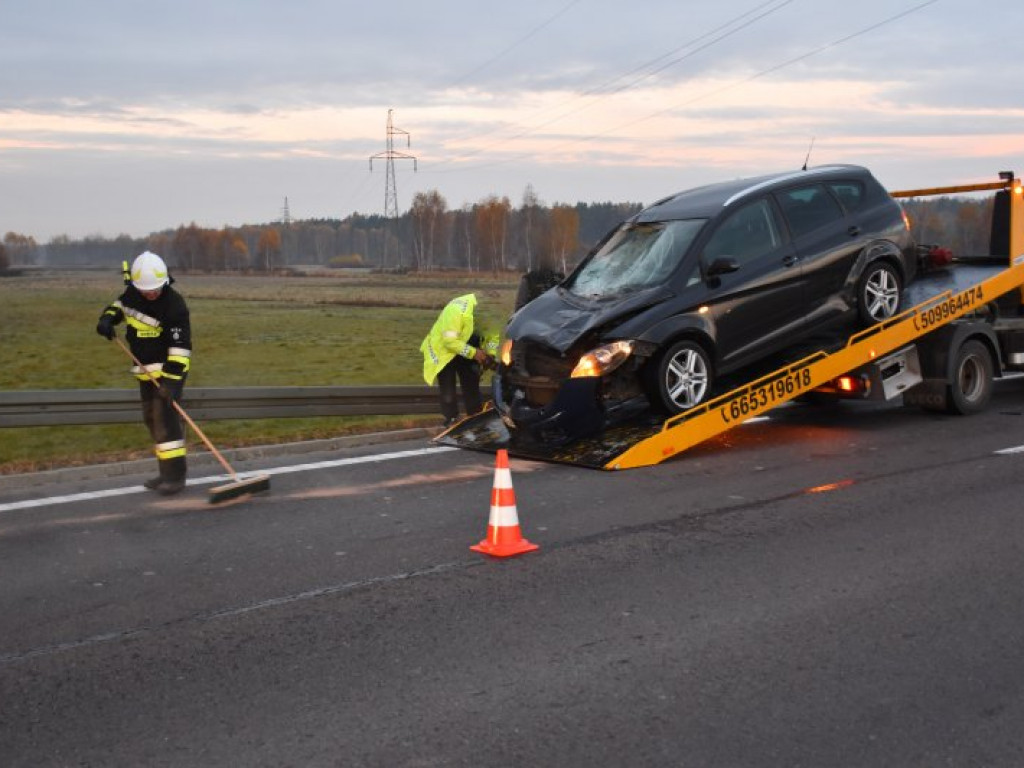 Zderzenie auta z sarną na krajowej 
