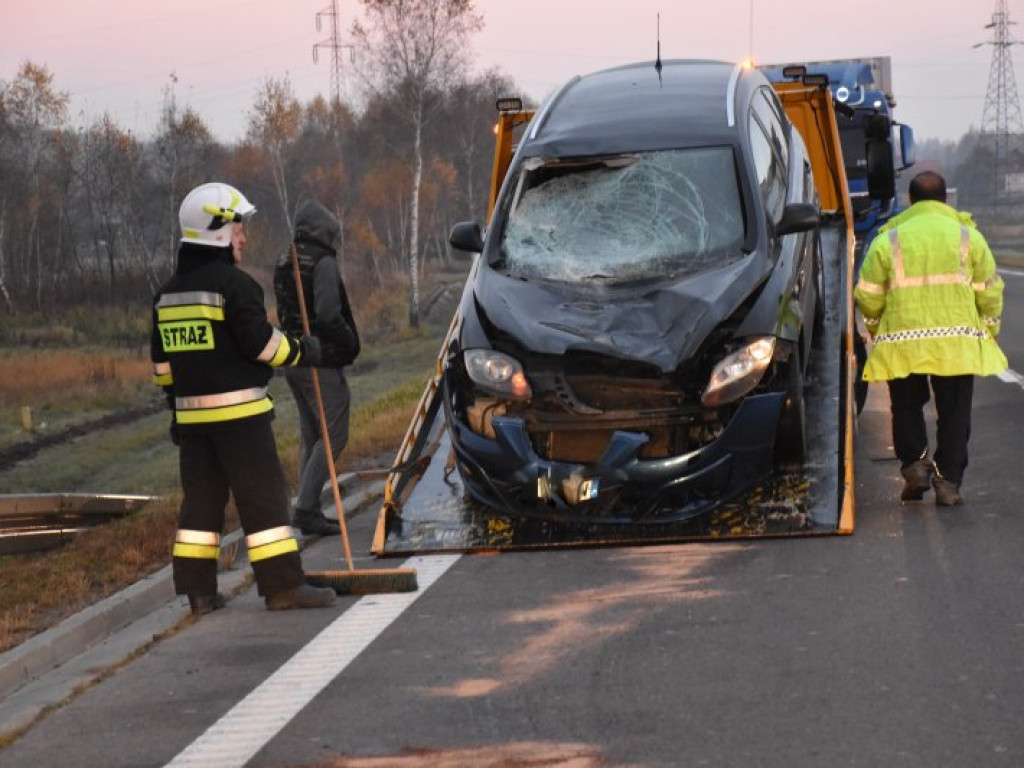 Zderzenie auta z sarną na krajowej 