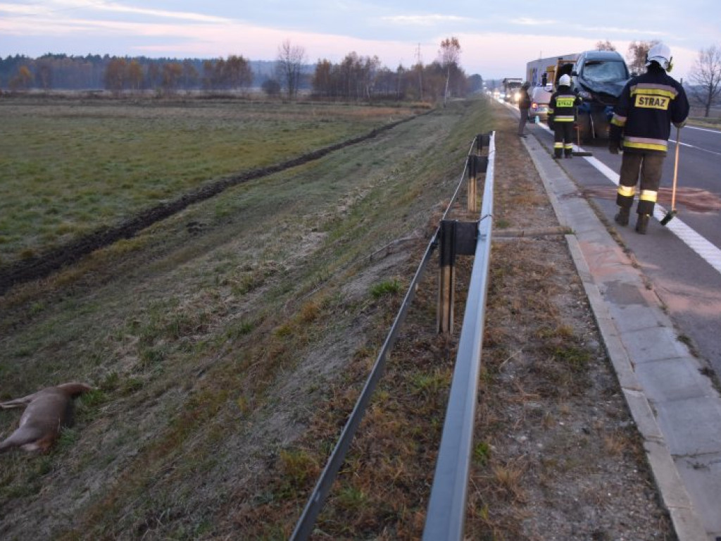 Zderzenie auta z sarną na krajowej 