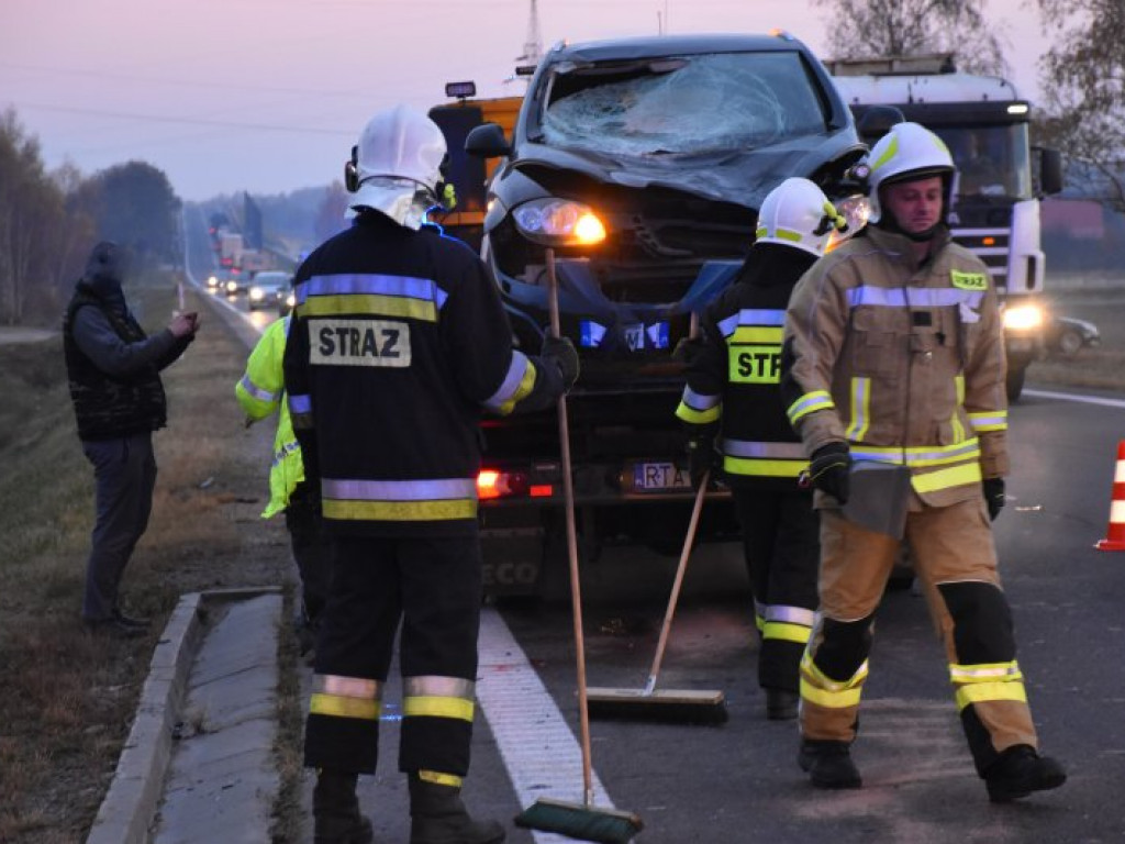 Zderzenie auta z sarną na krajowej 