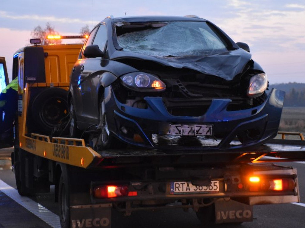 Zderzenie auta z sarną na krajowej 